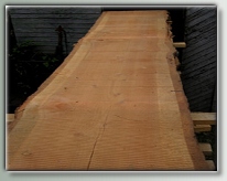 Rough Cut Cedar Slab